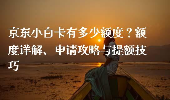 京东小白卡有多少额度？额度详解、申请攻略与提额技巧_https://cj002.lansai.wang_财经问答_第1张