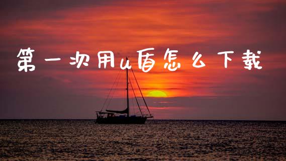 第一次用u盾怎么下载_https://cj002.lansai.wang_金融问答_第1张