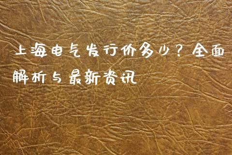 上海电气发行价多少？全面解析与最新资讯_https://cj002.lansai.wang_理财问答_第1张