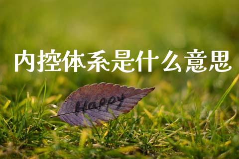 内控体系是什么意思_https://cj002.lansai.wang_会计问答_第1张