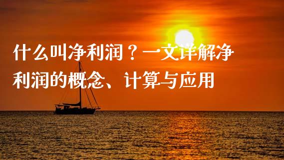 什么叫净利润？一文详解净利润的概念、计算与应用_https://cj002.lansai.wang_股市问答_第1张