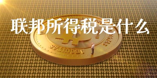 联邦所得税是什么_https://cj002.lansai.wang_会计问答_第1张