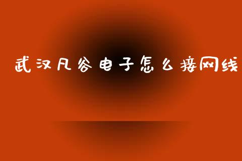 武汉凡谷电子怎么接网线_https://cj002.lansai.wang_理财问答_第1张