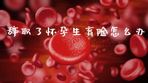 辞职了怀孕生育险怎么办_https://cj002.lansai.wang_保险问答_第1张