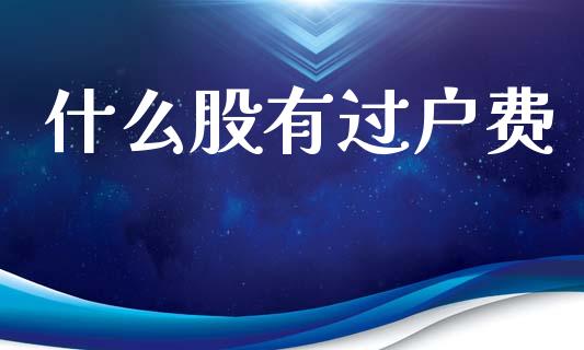 什么股有过户费_https://cj002.lansai.wang_理财问答_第1张