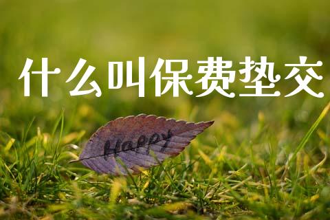 什么叫保费垫交_https://cj002.lansai.wang_期货问答_第1张