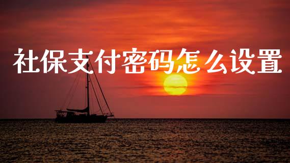 社保支付密码怎么设置_https://cj002.lansai.wang_保险问答_第1张