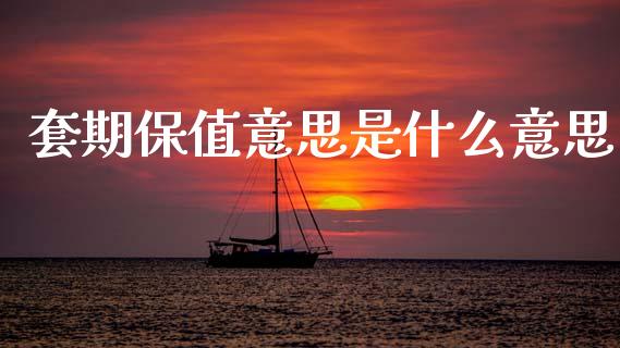 套期保值意思是什么意思_https://cj002.lansai.wang_期货问答_第1张