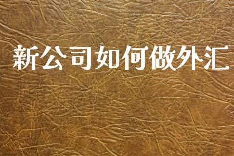新公司如何做外汇_https://cj002.lansai.wang_财经问答_第1张
