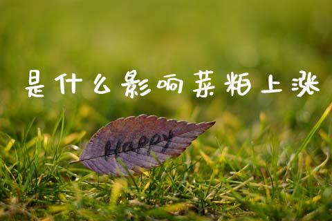 是什么影响菜粕上涨_https://cj002.lansai.wang_会计问答_第1张
