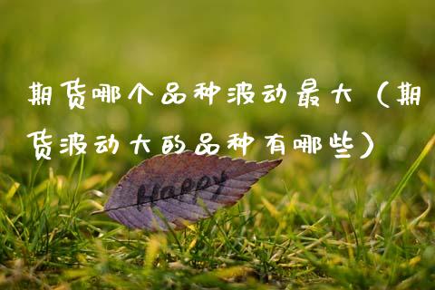 期货哪个品种波动最大（期货波动大的品种有哪些）_https://cj002.lansai.wang_理财问答_第1张