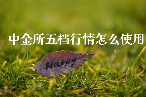中金所五档行情怎么使用_https://cj002.lansai.wang_理财问答_第1张