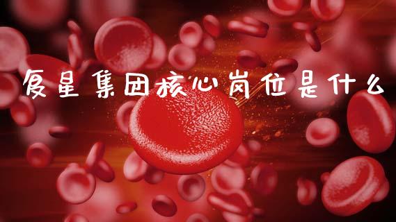 复星集团核心岗位是什么_https://cj002.lansai.wang_理财问答_第1张