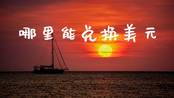 哪里能兑换美元_https://cj002.lansai.wang_财经问答_第1张