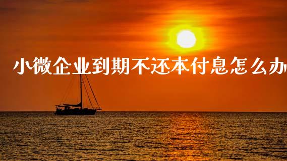 小微企业到期不还本付息怎么办_https://cj002.lansai.wang_金融问答_第1张
