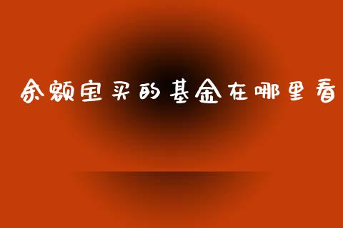 余额宝买的基金在哪里看_https://cj002.lansai.wang_理财问答_第1张