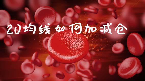 20均线如何加减仓_https://cj002.lansai.wang_理财问答_第1张