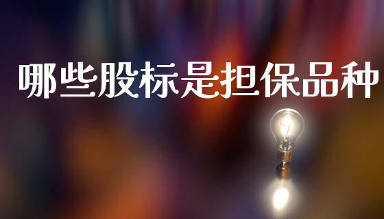 哪些股标是担保品种_https://cj002.lansai.wang_财经百问_第1张