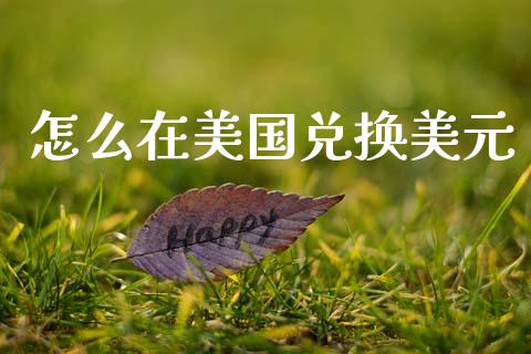 怎么在美国兑换美元_https://cj002.lansai.wang_财经问答_第1张