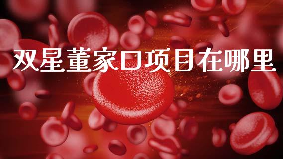 双星董家口项目在哪里_https://cj002.lansai.wang_股市问答_第1张