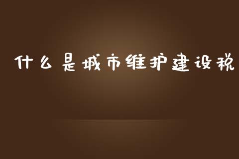 什么是城市维护建设税_https://cj002.lansai.wang_会计问答_第1张