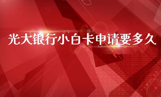 光大银行小白卡申请要多久_https://cj002.lansai.wang_理财问答_第1张