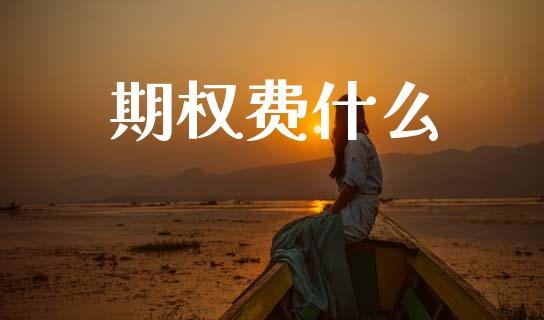 期权费什么_https://cj002.lansai.wang_理财问答_第1张