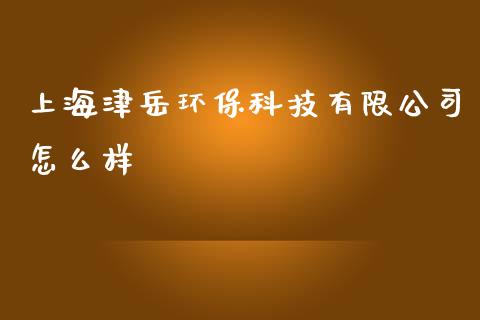 上海津岳环保科技有限公司怎么样_https://cj002.lansai.wang_期货问答_第1张
