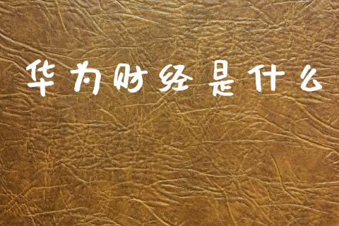 华为财经是什么_https://cj002.lansai.wang_期货问答_第1张
