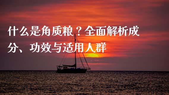 什么是角质粮？全面解析成分、功效与适用人群_https://cj002.lansai.wang_股市问答_第1张