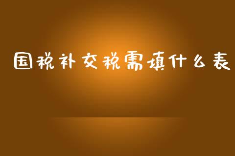 国税补交税需填什么表_https://cj002.lansai.wang_会计问答_第1张