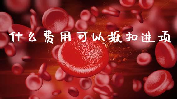 什么费用可以抵扣进项_https://cj002.lansai.wang_会计问答_第1张