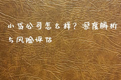小贷公司怎么样？深度解析与风险评估_https://cj002.lansai.wang_会计问答_第1张