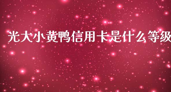 光大小黄鸭信用卡是什么等级_https://cj002.lansai.wang_金融问答_第1张