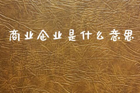 商业企业是什么意思_https://cj002.lansai.wang_会计问答_第1张