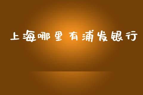 上海哪里有浦发银行_财经百问_第1张_财经百问网 上海哪里有浦发银行_https://cj002.lansai.wang_财经百问_第1张