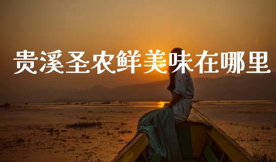 贵溪圣农鲜美味在哪里_https://cj002.lansai.wang_金融问答_第1张