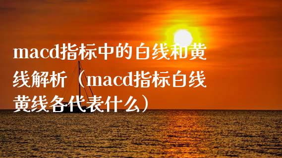 macd指标中的白线和黄线解析（macd指标白线黄线各代表什么）_https://cj002.lansai.wang_会计问答_第1张