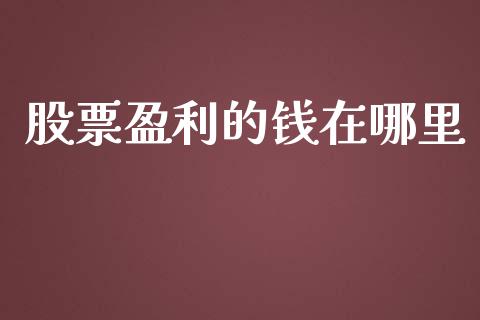 股票盈利的钱在哪里_https://cj002.lansai.wang_理财问答_第1张