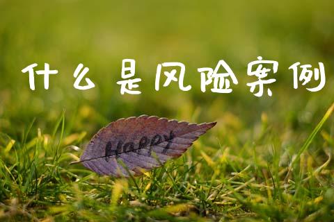 什么是风险案例_https://cj002.lansai.wang_会计问答_第1张