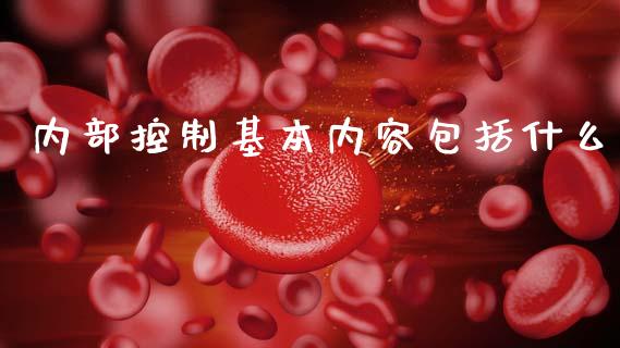 内部控制基本内容包括什么_https://cj002.lansai.wang_会计问答_第1张