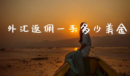 外汇返佣一手多少美金_https://cj002.lansai.wang_财经问答_第1张