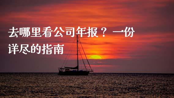 去哪里看公司年报？ 一份详尽的指南_https://cj002.lansai.wang_金融问答_第1张