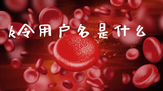 k令用户名是什么_https://cj002.lansai.wang_金融问答_第1张