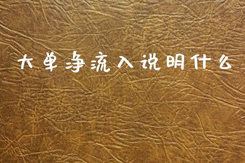 大单净流入说明什么_https://cj002.lansai.wang_期货问答_第1张
