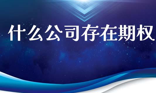 什么公司存在期权_https://cj002.lansai.wang_金融问答_第1张