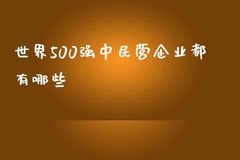 世界500强中民营企业都有哪些_https://cj002.lansai.wang_财经问答_第1张