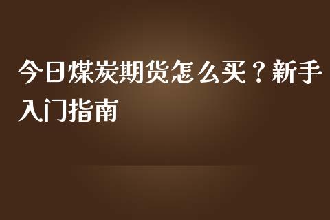 今日煤炭期货怎么买？新手入门指南_https://cj002.lansai.wang_会计问答_第1张