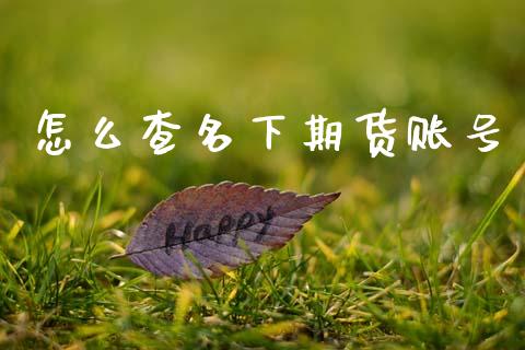 怎么查名下期货账号_https://cj002.lansai.wang_期货问答_第1张