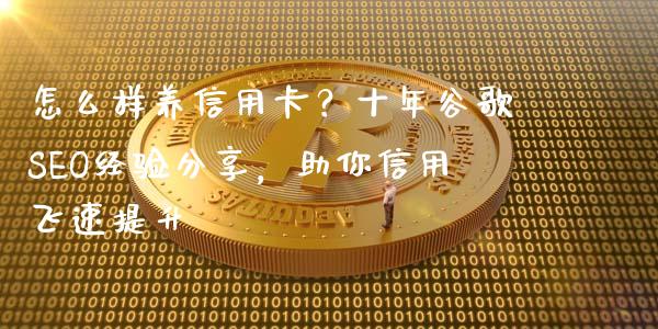 怎么样养信用卡？十年谷歌SEO经验分享，助你信用飞速提升_https://cj002.lansai.wang_金融问答_第1张